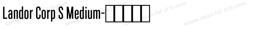Landor Corp S Medium字体转换
